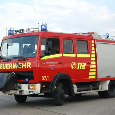 LF8.jpg